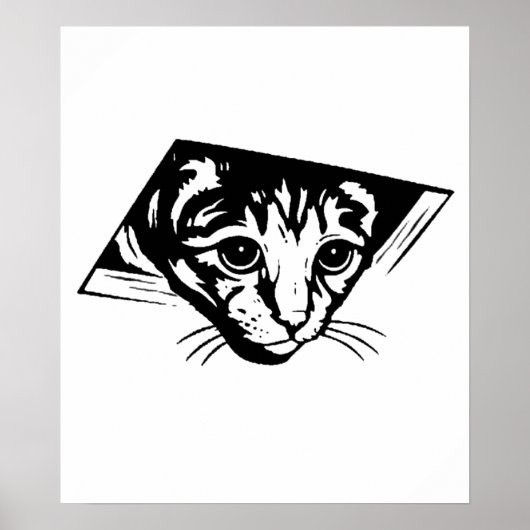Poster Chat de plafond (Devant)
