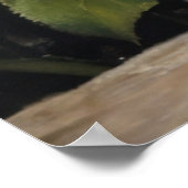 Poster Chat de poupée avec Fleurs Animaux de compagnie (Coin)