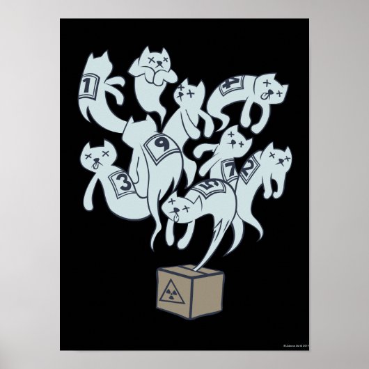 Poster Chat de Schrödinger 9 Vies (Devant)