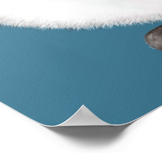 Poster Chat de Siamese (Coin)