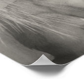 Poster Chat de Siamese avec une couleur partielle (Coin)