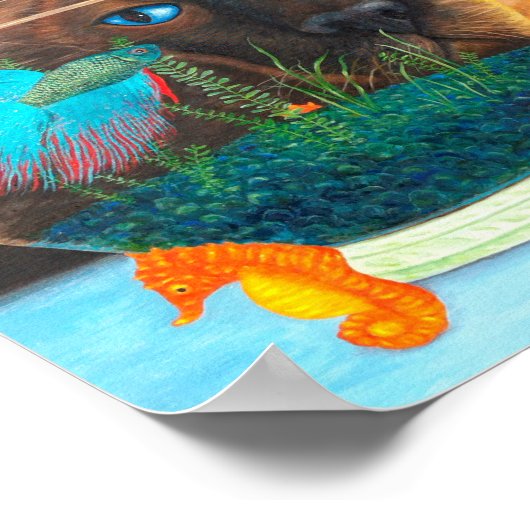 Poster Chat de Siamese et Betta Fish (Coin)