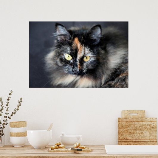 Poster Chat de Sibérie (Cuisine)