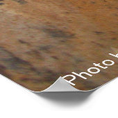 Poster CHAT DÉTECTIF DERRIÈRE LE MUR DE PIERRE / Fête des (Coin)