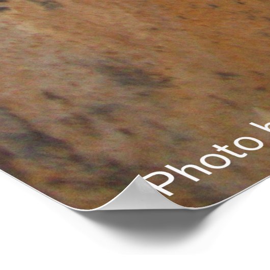 Poster CHAT DÉTECTIF DERRIÈRE LE MUR DE PIERRE / Fête des (Coin)