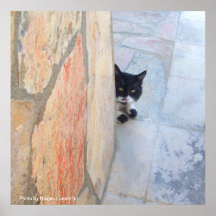 Poster CHAT DÉTECTIF DERRIÈRE LE MUR DE PIERRE / Fête des