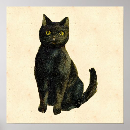 Poster Chat d'Halloween vintage (Devant)