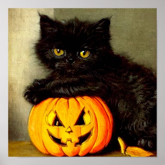 Poster Chat d'Halloween vintage et lanterne Jack-o’ (Devant)