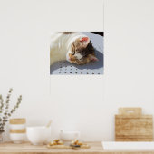 Poster Chat dormant dans un jardin (Cuisine)