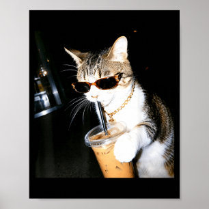 Poster Chat Drôle Buvant du Café Glacé Humour Mème Chaton