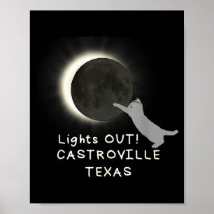 Poster Chat drôle de l'éclipse solaire totale Castroville