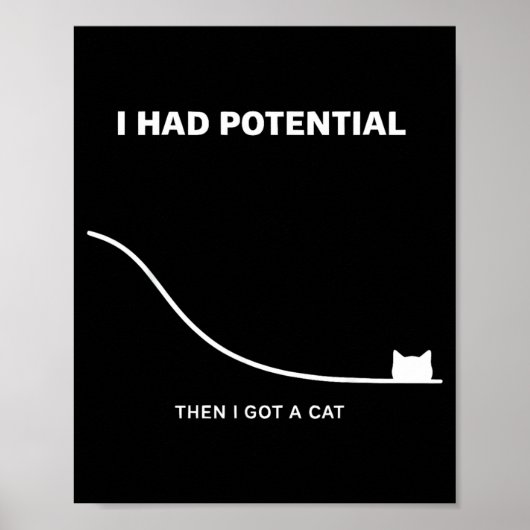 Poster Chat Drôle J'avais du Potentiel Puis J'ai eu un Ch (Devant)