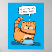 Chat Drôle Malheureux Avec Chow