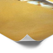 Poster Chat du Bengale (Coin)