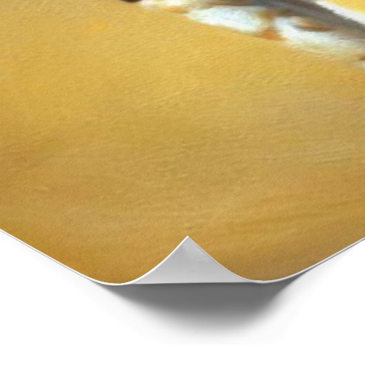 Poster Chat du Bengale (Coin)