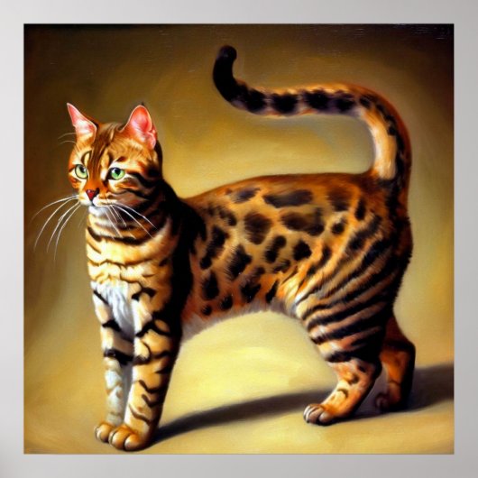 Poster Chat du Bengale (Devant)