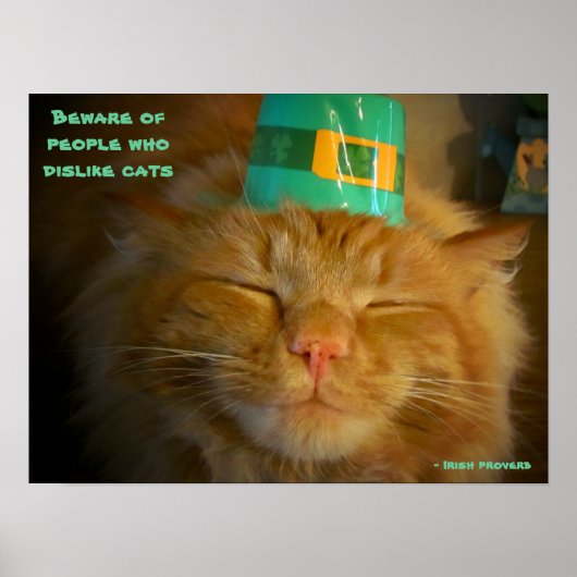 Poster Chat en Casquette irlandais avec proverbe (Devant)