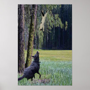 POSTER CHAT EN CHUTE