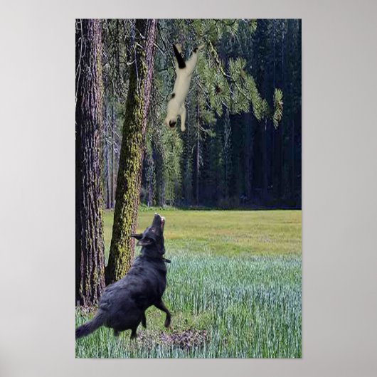 POSTER CHAT EN CHUTE (Devant)