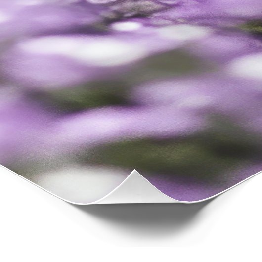 Poster Chat en fleurs (Coin)