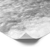 Poster Chat en niveaux de gris (Coin)