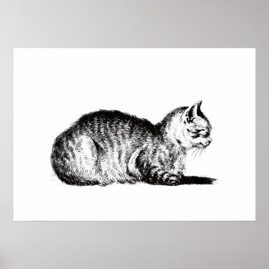 Poster Chat en peluche, à gauche, Jean Bernard, 1812 (Devant)