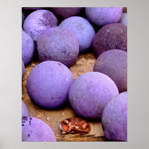 Poster chat errant dans les boules de canon