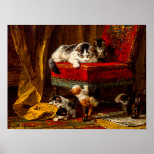 Poster Chat et chatons Jouer avec chaise