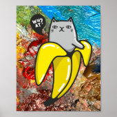 Poster Chat et les couleurs (Devant)