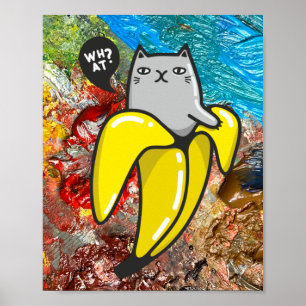 Poster Chat et les couleurs