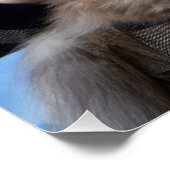 Poster Chat et meilleur ami (Coin)