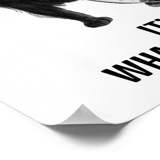 Poster Chat et poisson (Coin)