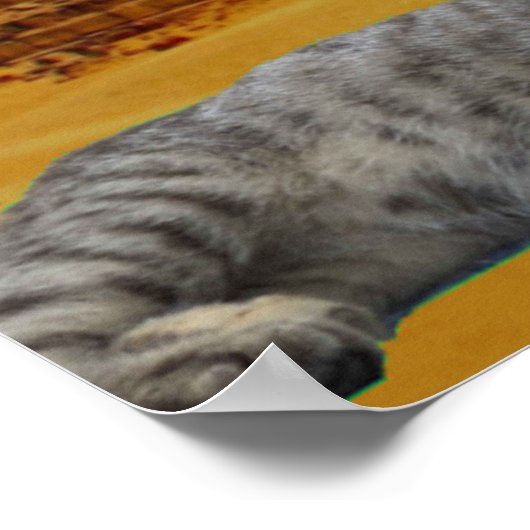 Poster Chat et Pyramide. (Coin)