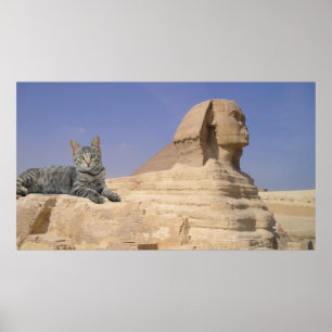 Poster Chat et Sphinx.