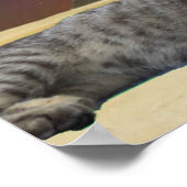 Poster Chat et Sphinx. (Coin)
