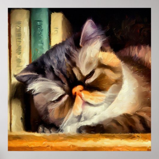 Poster Chat Exotique Shorthair (Devant)