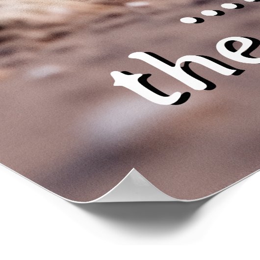 Poster Chat gai contre Chat grumpy - Humour (Coin)