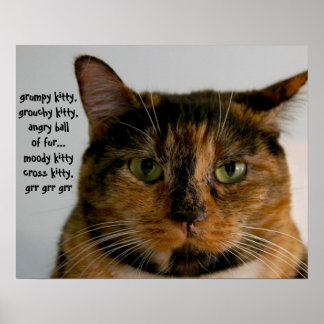 Poster Chat gras avec Attitude, chanson de chaton grinche