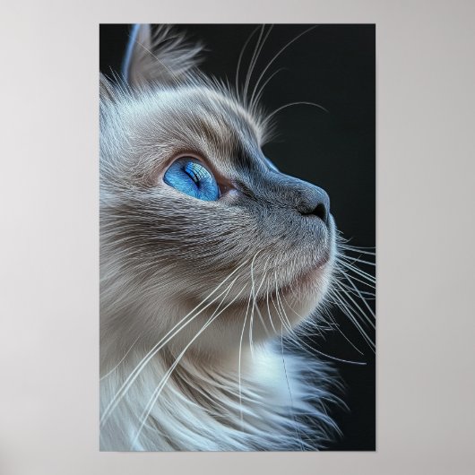 Poster Chat gris aux yeux bleus (Devant)