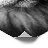 Poster Chat gris avec yeux verts clairs (Coin)