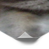 Poster Chat gris bleu russe (Coin)