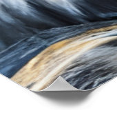 Poster Chat gris dans une couronne (Coin)