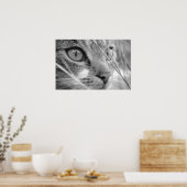 Poster chat gris et blanc sur un vert (Cuisine)