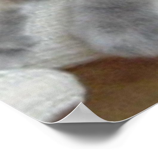 Poster Chat gris fête d'anniversaire (Coin)