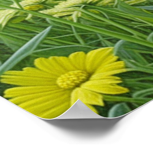 Poster Chat gris mignon avec Yellow Eyes Ai Art (Coin)