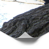 Poster Chat guerrier (Coin)