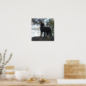 Poster Chat guerrier (Cuisine)