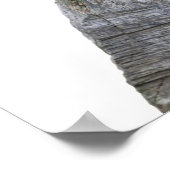 Poster chat, hache et vie (Coin)