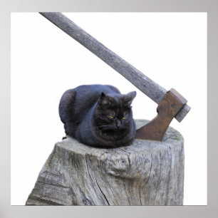 Poster chat, hache et vie