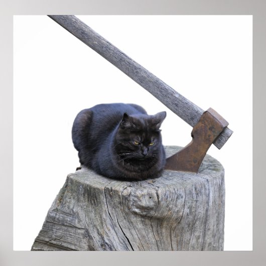 Poster chat, hache et vie (Devant)